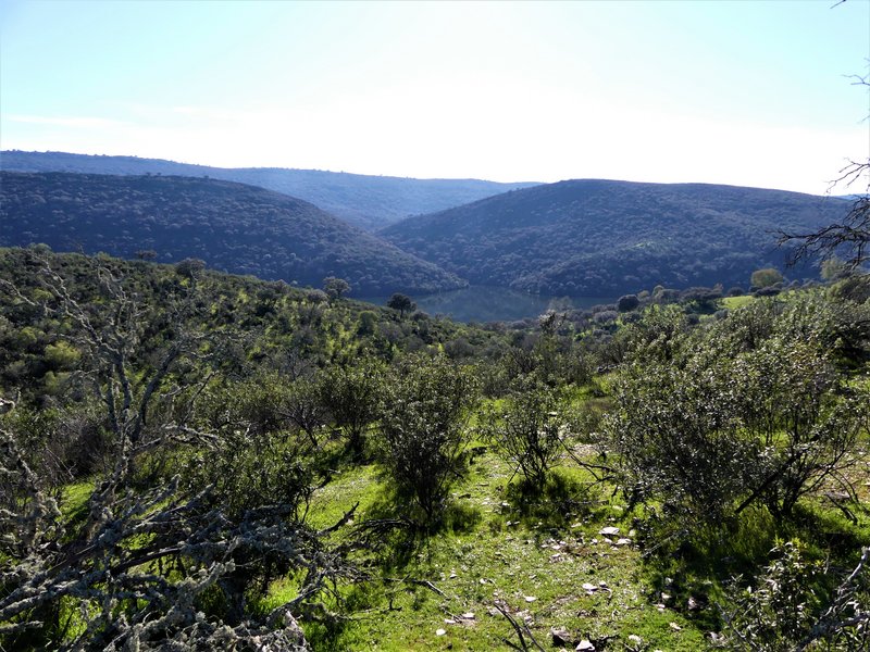 PARQUE NACIONAL DE MONFRAGÜE-2020/2023 - EXTREMADURA Y SUS PUEBLOS -2010-2023 (141)