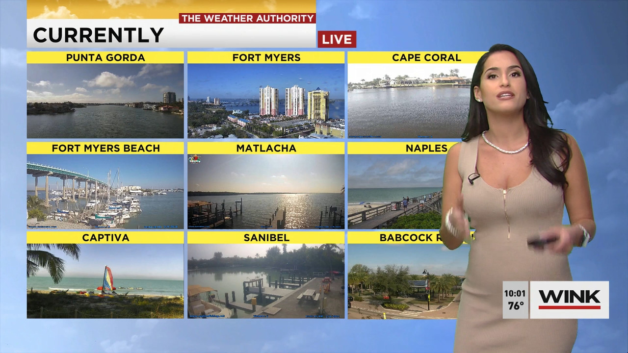 02.09 - 15.00.00 - WINK News at 10 00 a.m..ts_snapshot_00.02.26.942