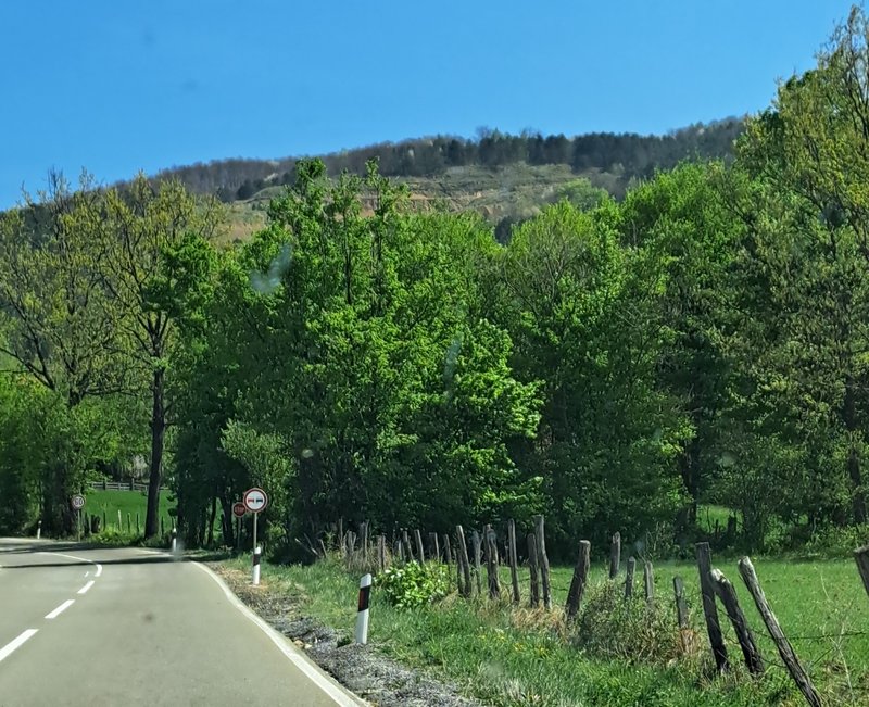 Slika