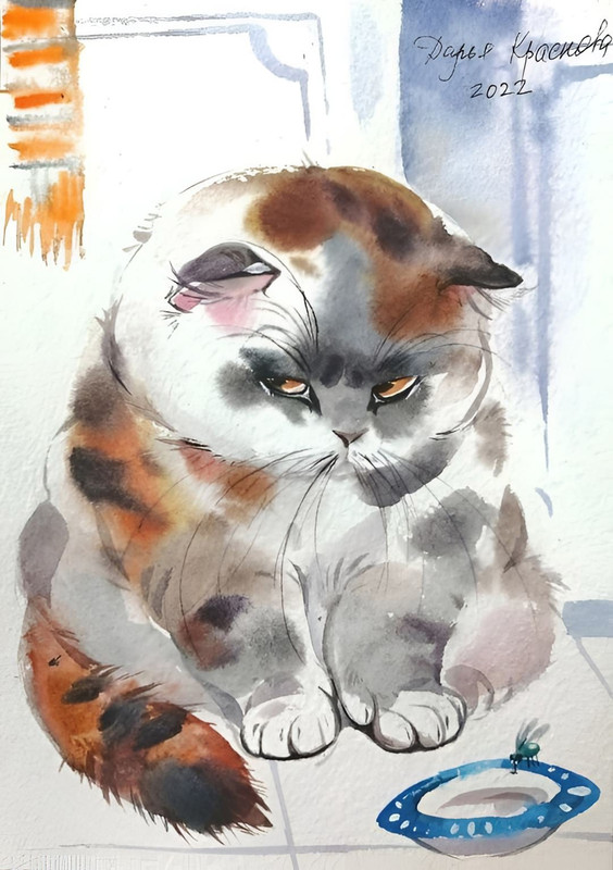 499483706-2477591399253242-4805437807960281996-n