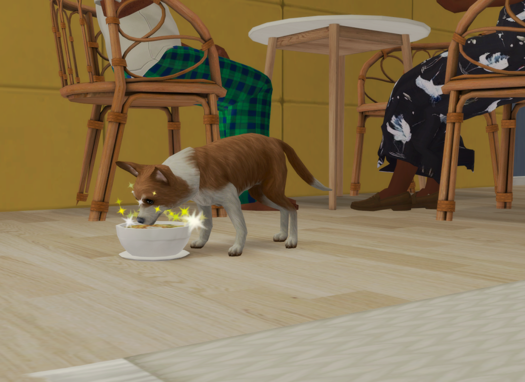 Sims2-EP9-RPC-2023-10-13-19-04-59-70