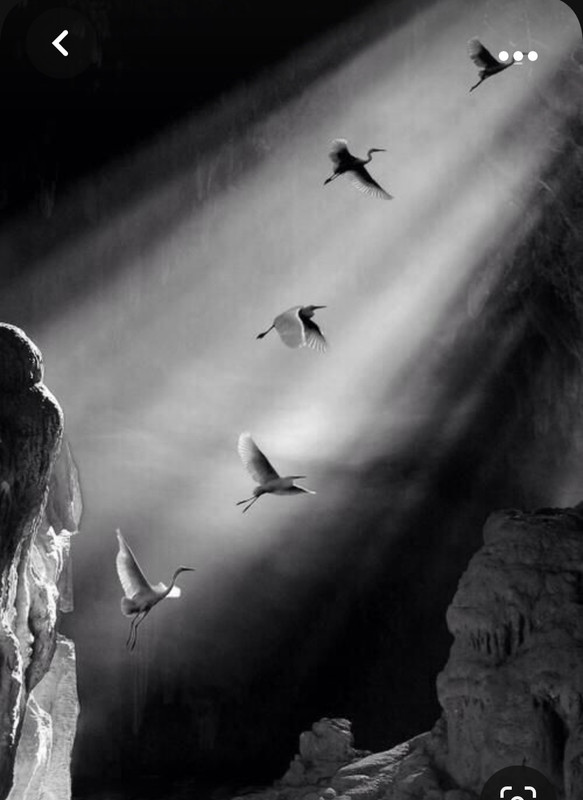 Screenshot_20231030_215211_Pinterest