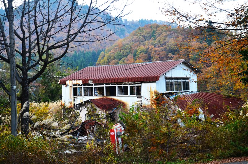 Presa Oguchi Daiichi y Templo Fukase-15-11-2024 - Japón y sus Pueblos-2024 (18)