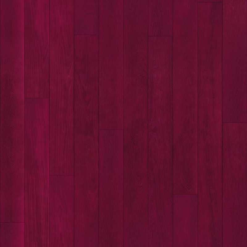 422822_312037982189160_933439558_n