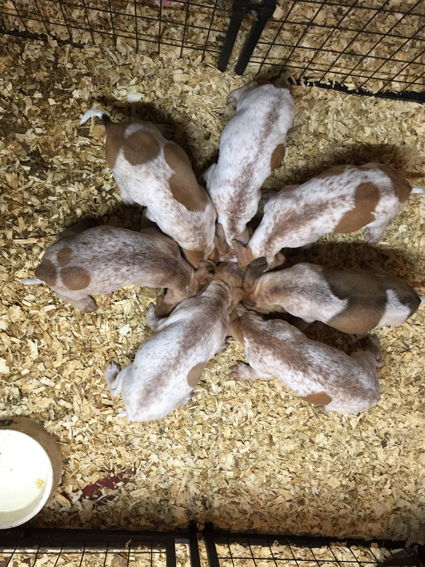 51231615-2D14-45E2-8200-3778A82F1B71