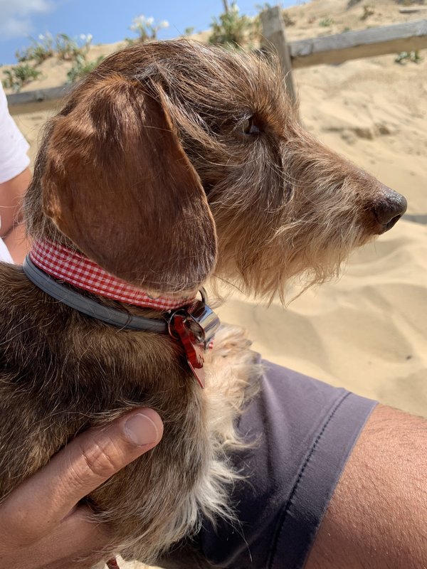 [Image: IMG-8430.jpg]