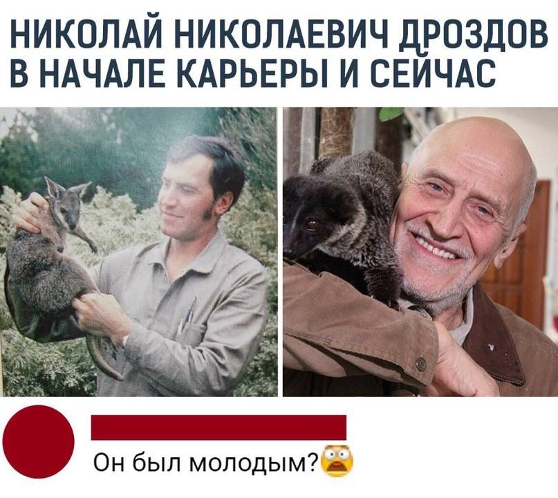 [Изображение: 8df87133e967fa55ea6bc2f36ea6c920.jpg]