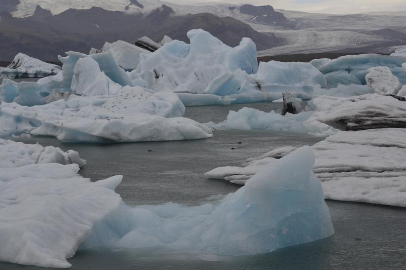 Entre hielo y ceniza. - Islandia, donde la tierra ruge. (28)