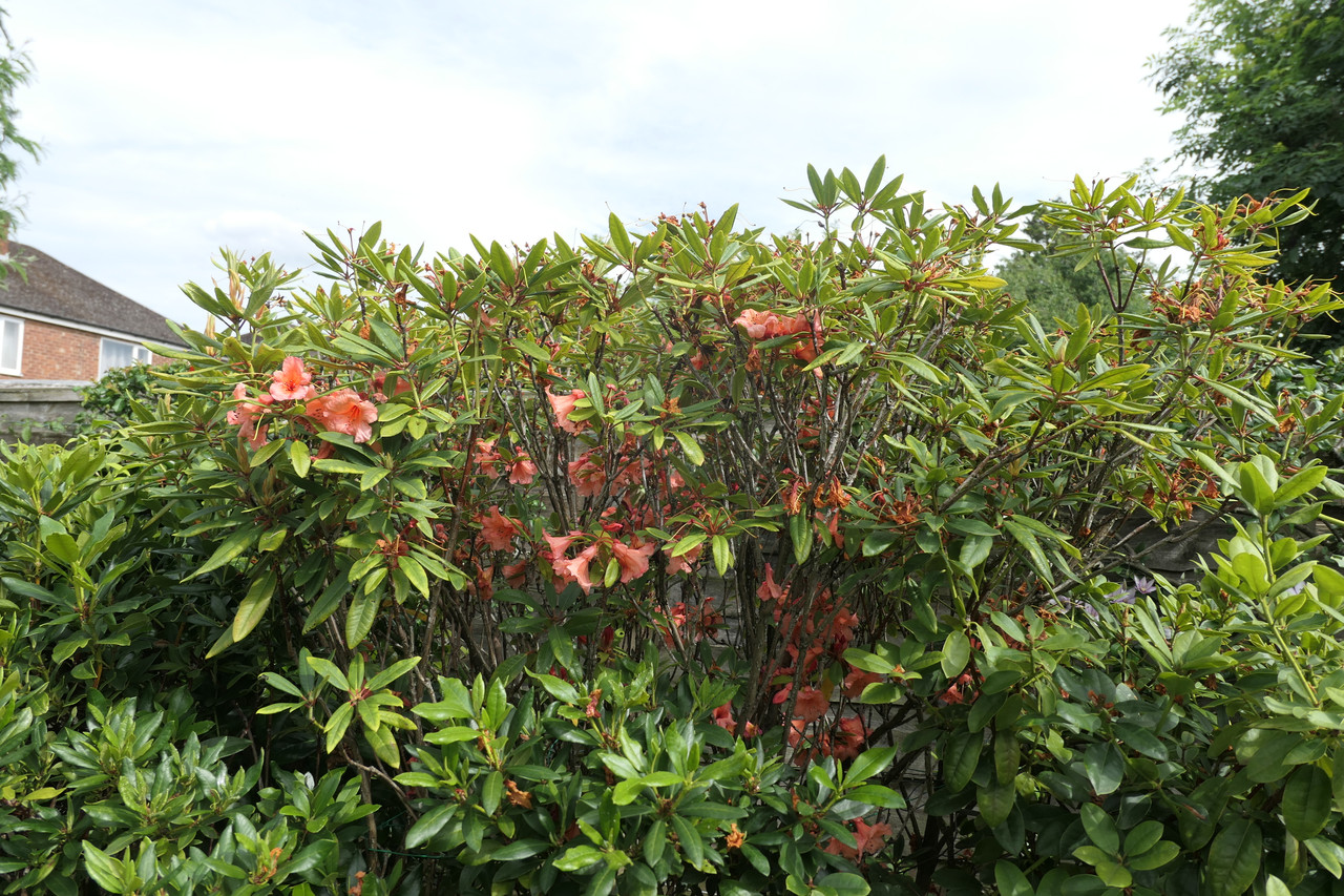P1040840