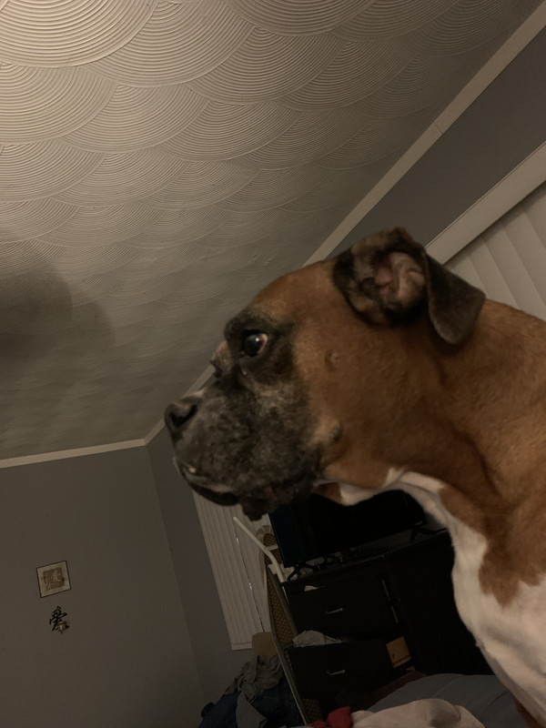 2D20D16E-2E85-4A24-81A4-EF3D15D28575