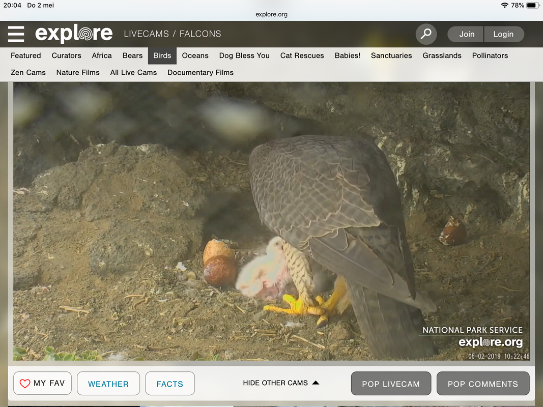 CAC1D3B9-D493-49E6-8BC2-AD98005DD714