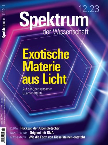 Cover: Spektrum der Wissenschaft Magazin No12 Dezember 2023