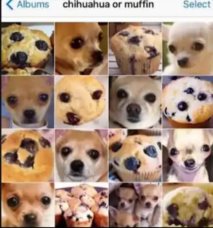 Screenshot-20260513-153158-You-Tube.png