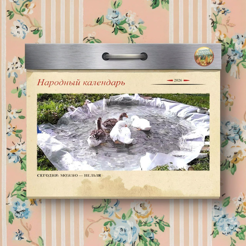 [Изображение: photo-2026-06-08-09-35-58.jpg]
