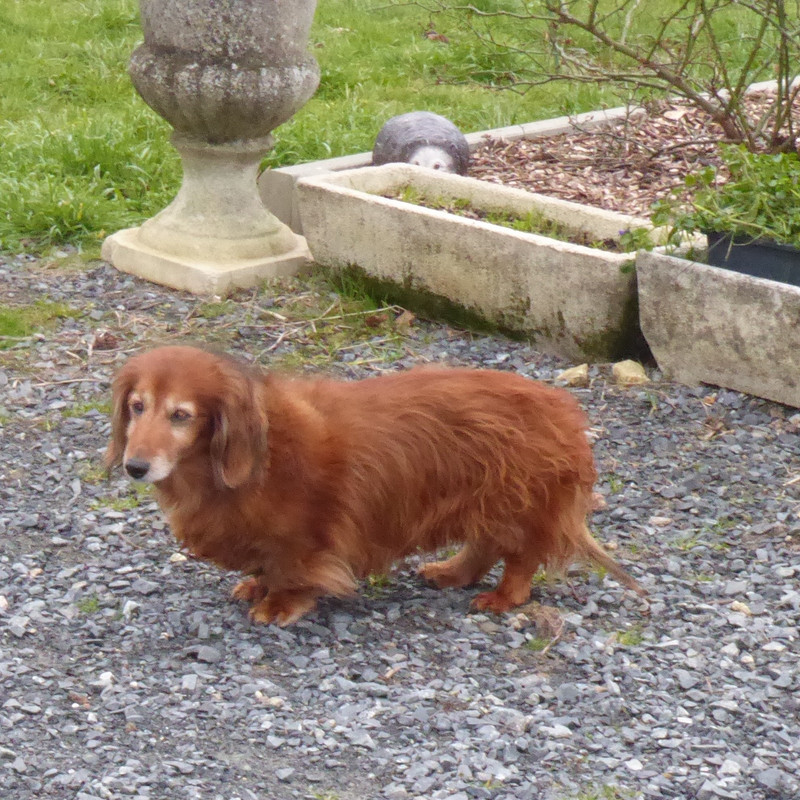 [Image: P1020009.jpg]