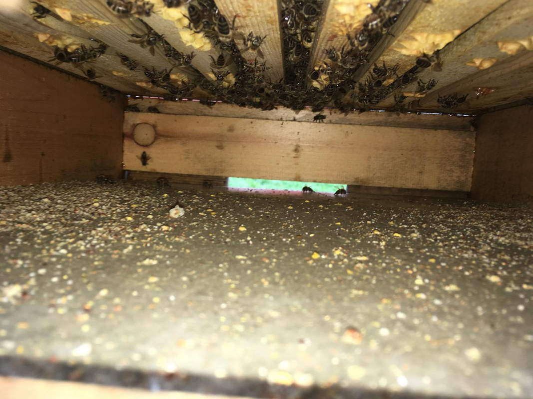 38DAE408-0759-4B2F-8177-2F9A22AAF560