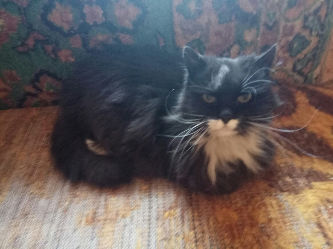 Манька_02_18_3