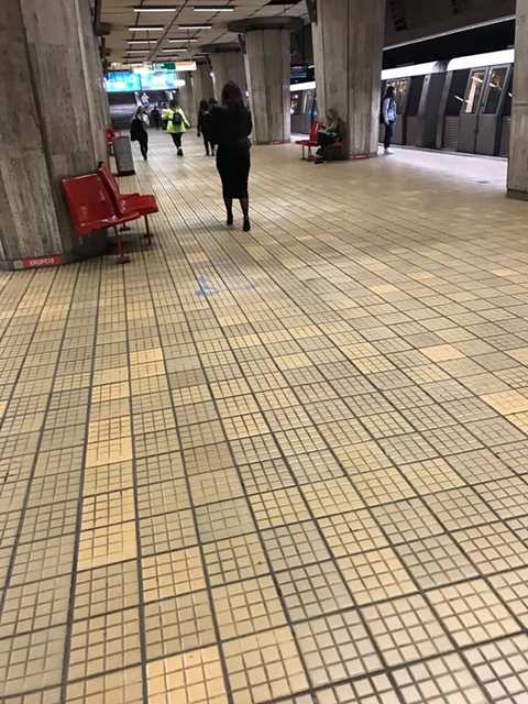 53046740_382039659281806_5636601116608167936_n_382039655948473