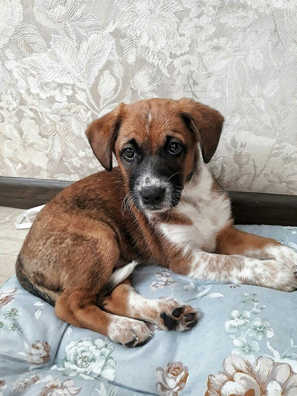 6B0A4D4A-CC41-461A-AF2E-0CD1E7423C39