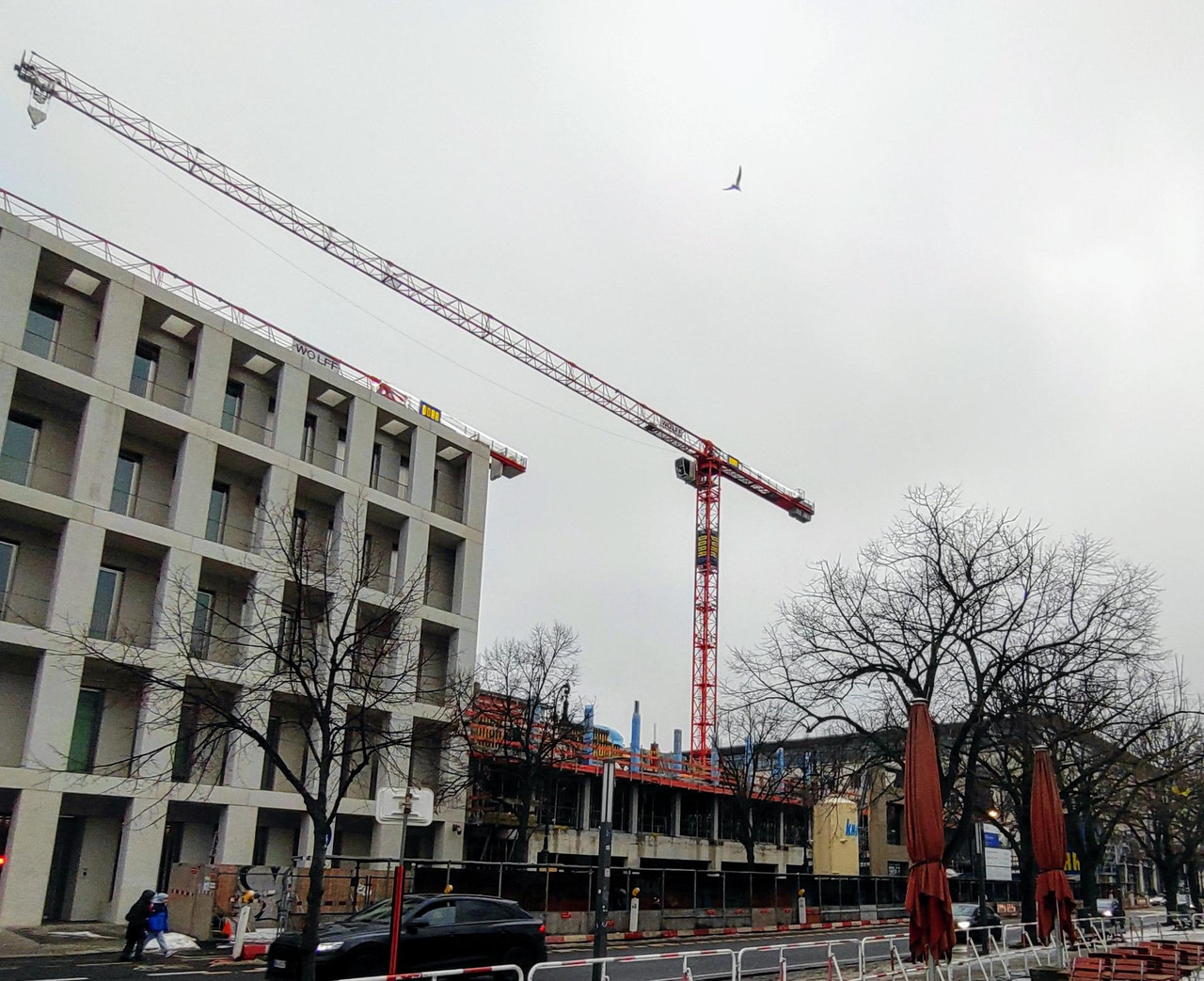 DSC_1073_2.jpg