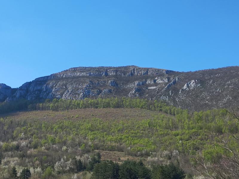 gfaejhgue-(3).jpg
