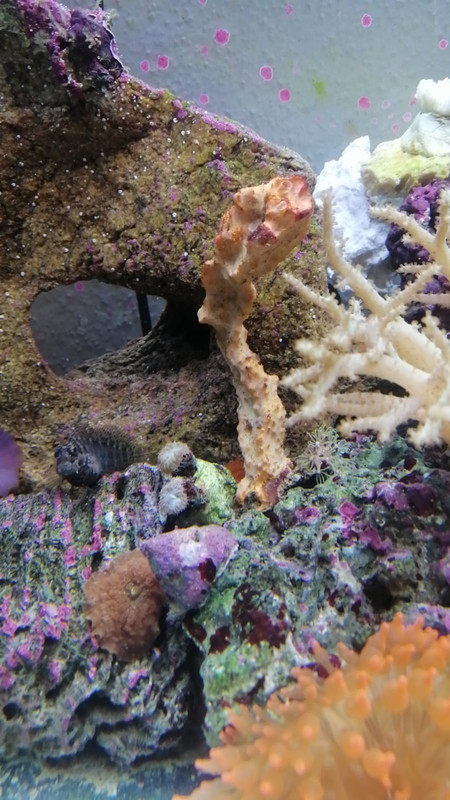 6209B59B-1AB7-40E6-94CA-74F678A92E62