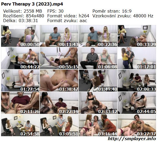Perv Therapy 3 (2023)
