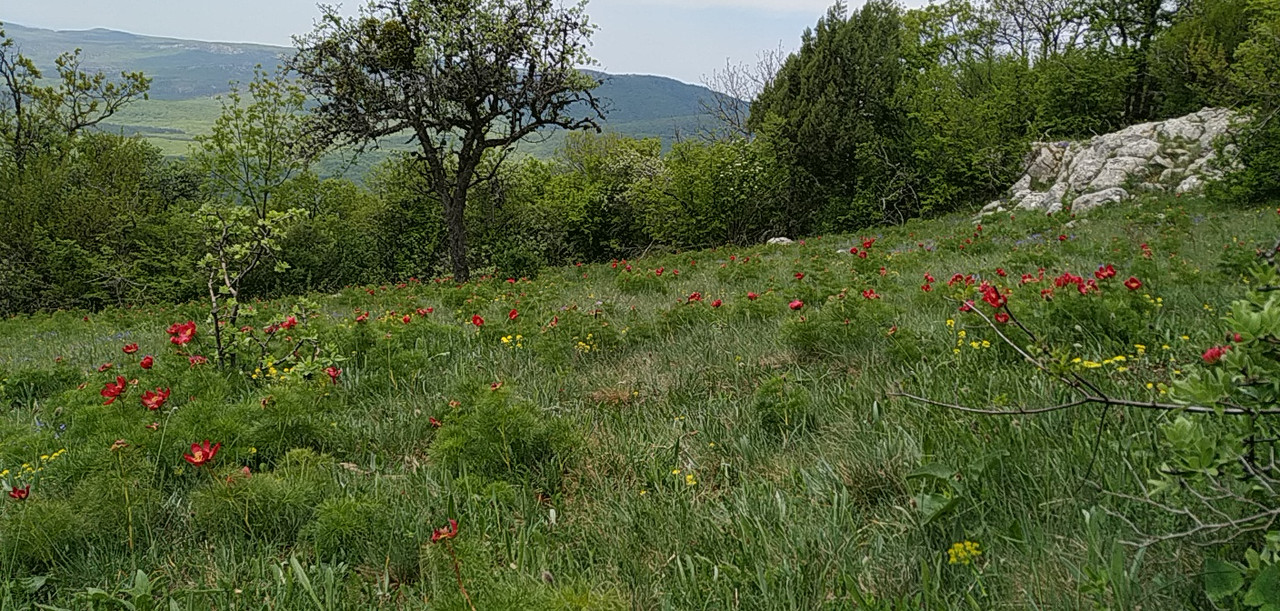 PANO_20190514_132545