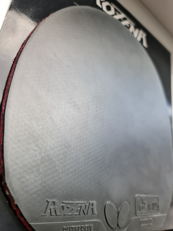 14. BTY ROZENA NEGRU 2.1 (3)