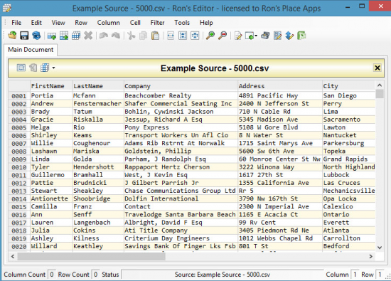 Rons CSV Editor 2023.05.19.1414