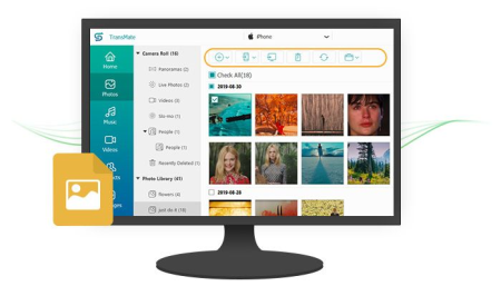 AnyMP4 TransMate 1.2.12 Multilingual