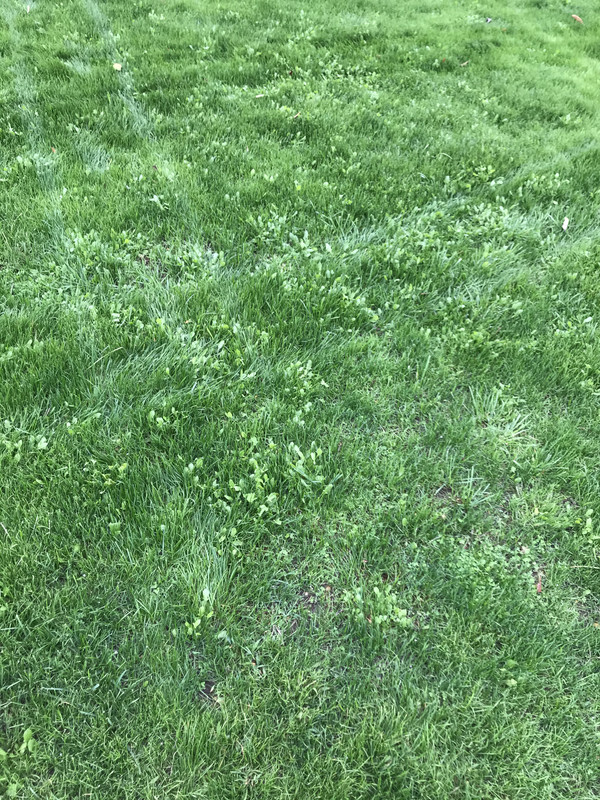 56D96FA0-D302-4A98-9D6B-4950C8A377BA