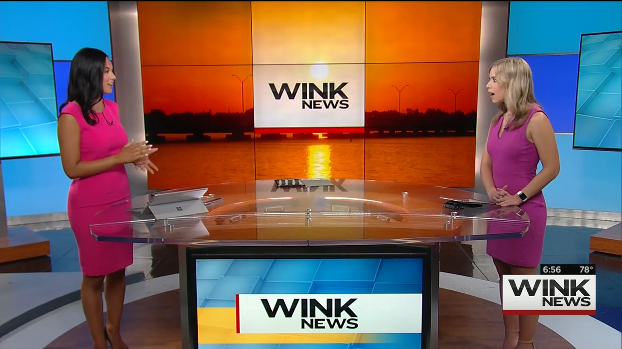 08.09 - 11.00.00 - WINK News @ 6 00AM Sunday..ts_snapshot_00.58.43.226