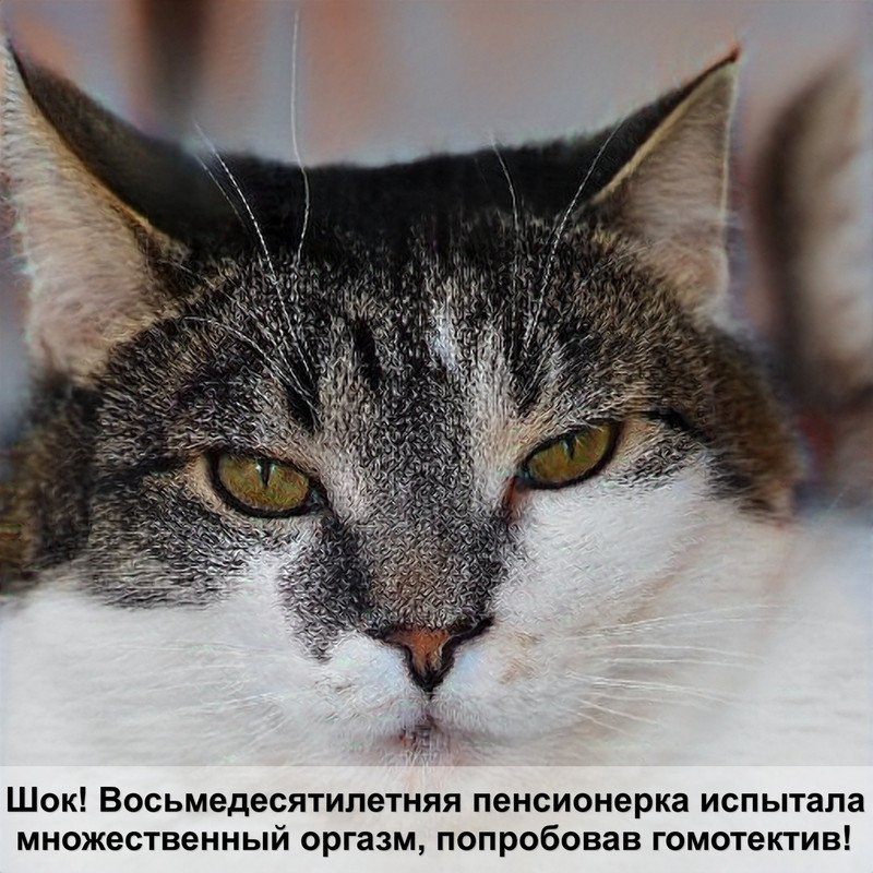 капли для кошек