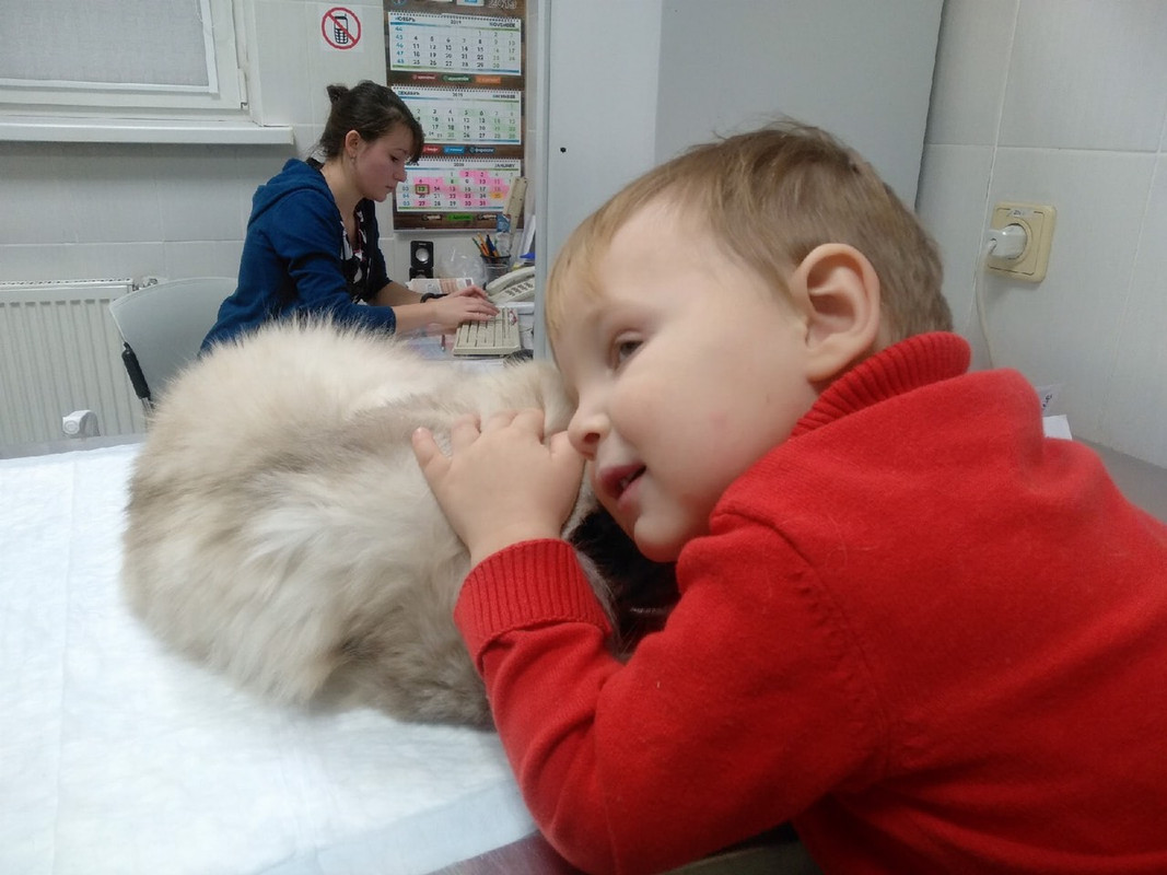 дети на акции2