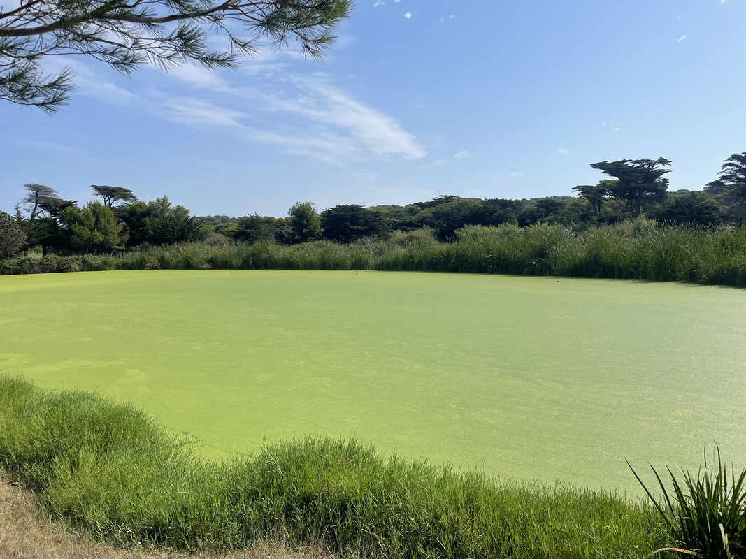 5BBE5B44-B7B5-44DB-A2B3-823FE28D5981