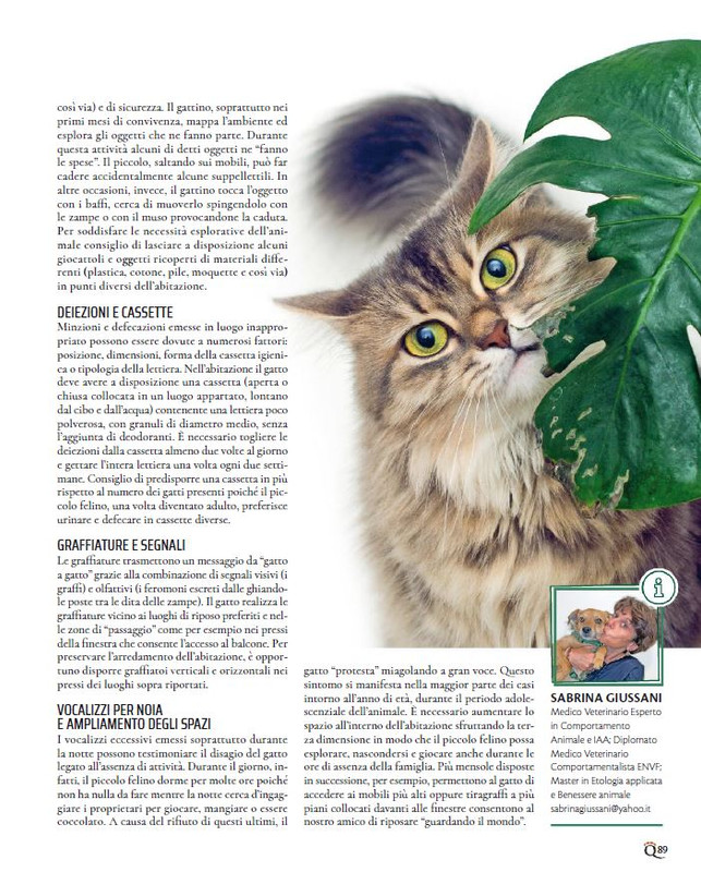 QuattroZampe Dic 2023-Gen 2024 (12)