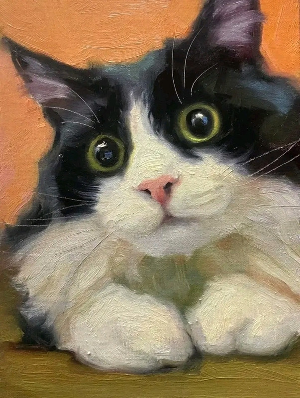 48