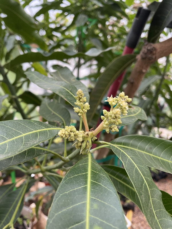 CA5FE5B2-7068-4D93-853C-7D5B2D5EE7DC