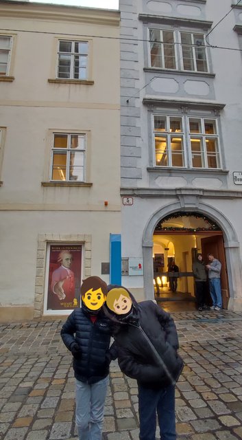 Viena - Bratislava - Praga, Navidad 2024 - Blogs de Europa Central - Mercados Navideños de Viena y Catedral (19)