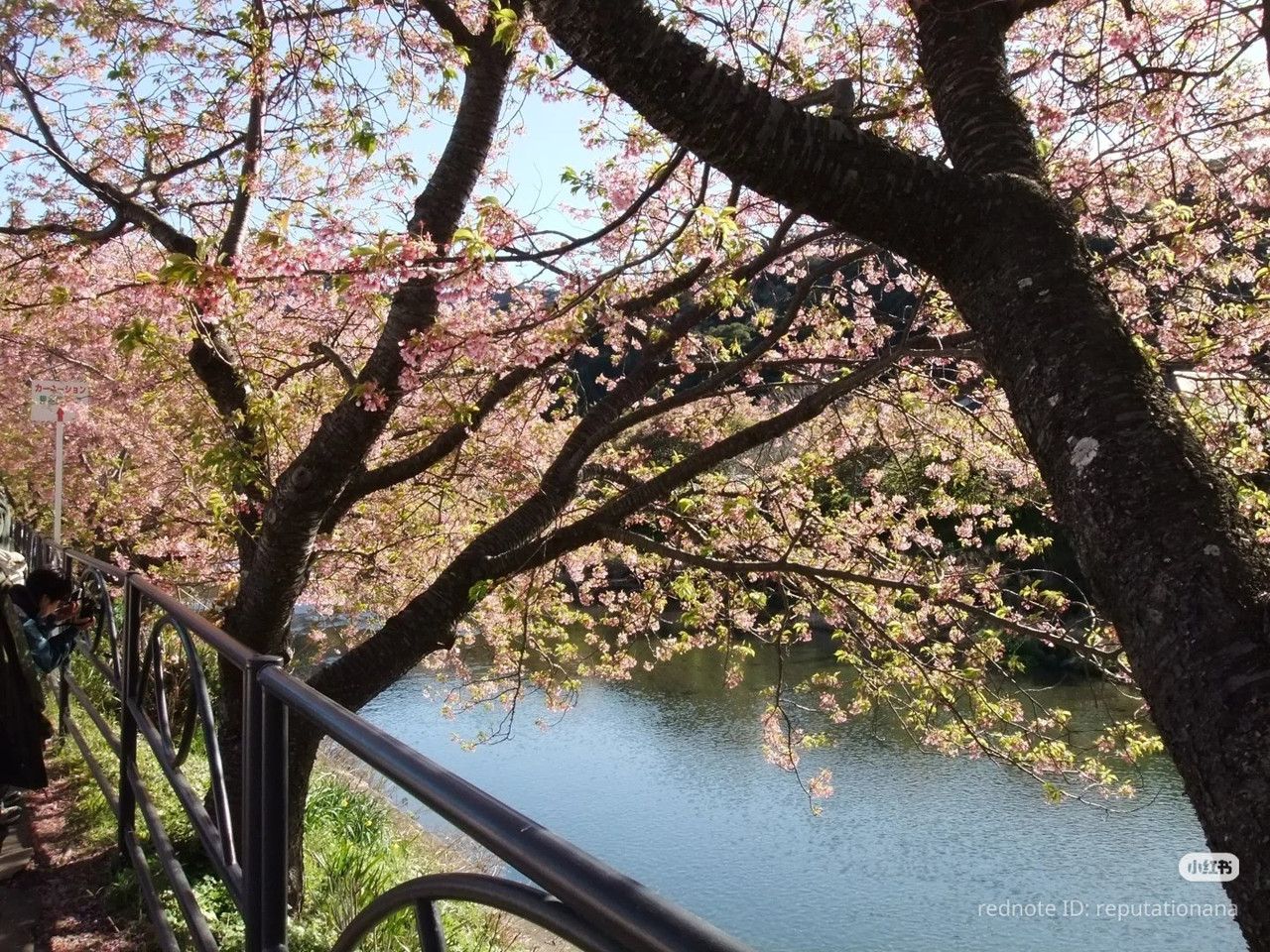 photo 28 2025 12 17 21 28 21