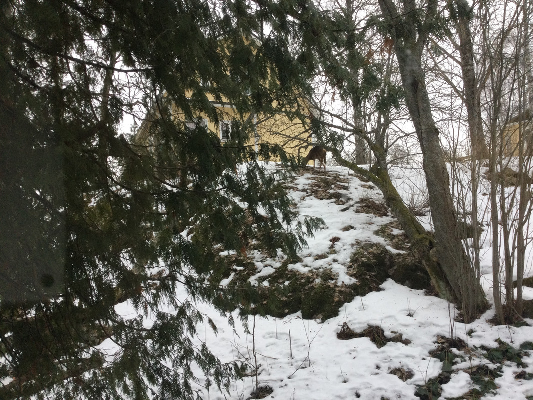 87400EA1-8239-4CC0-B3A2-C05DDA6E7D07