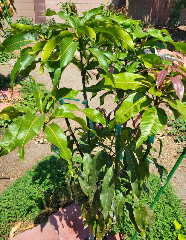 Screenshot_20220715-113339_Gallery