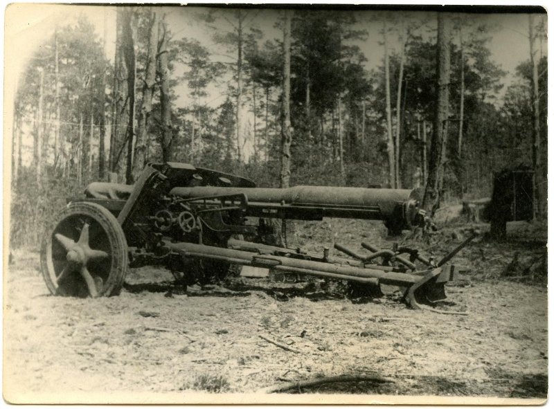 На реке Одер. Трофейное орудие.
