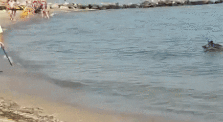 daily-gifdump-3394-06.gif