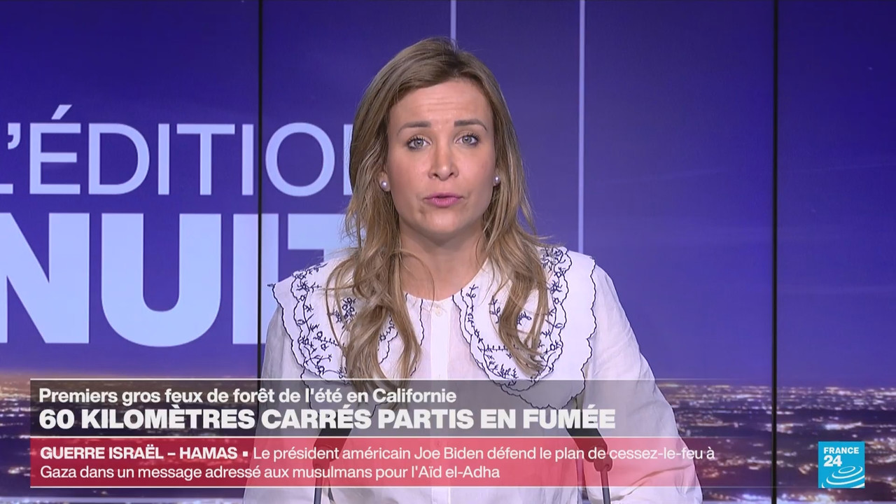 Le journal France 24 (FR) (France 24)_2024_06_18_03_55_80.ts_snapshot_16.59.891