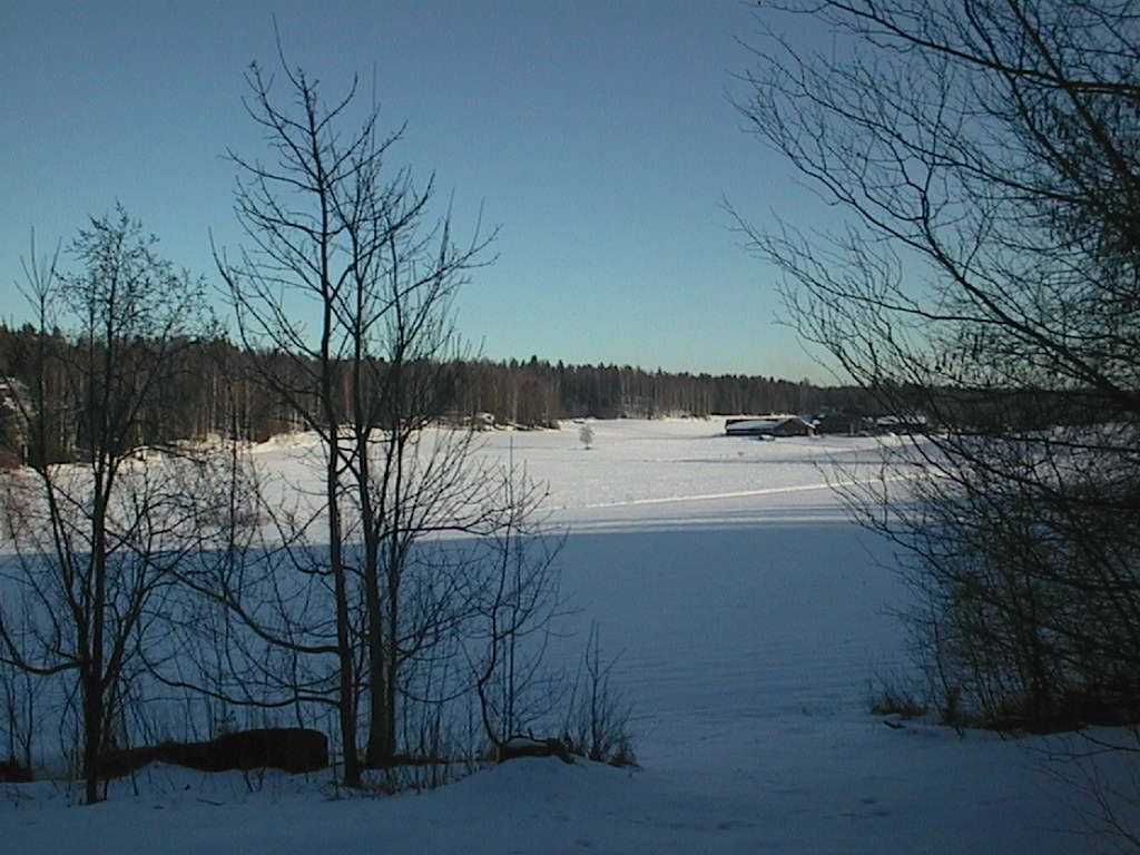 pävänlöytö 09032016raivattu metsa lahdesta keha 