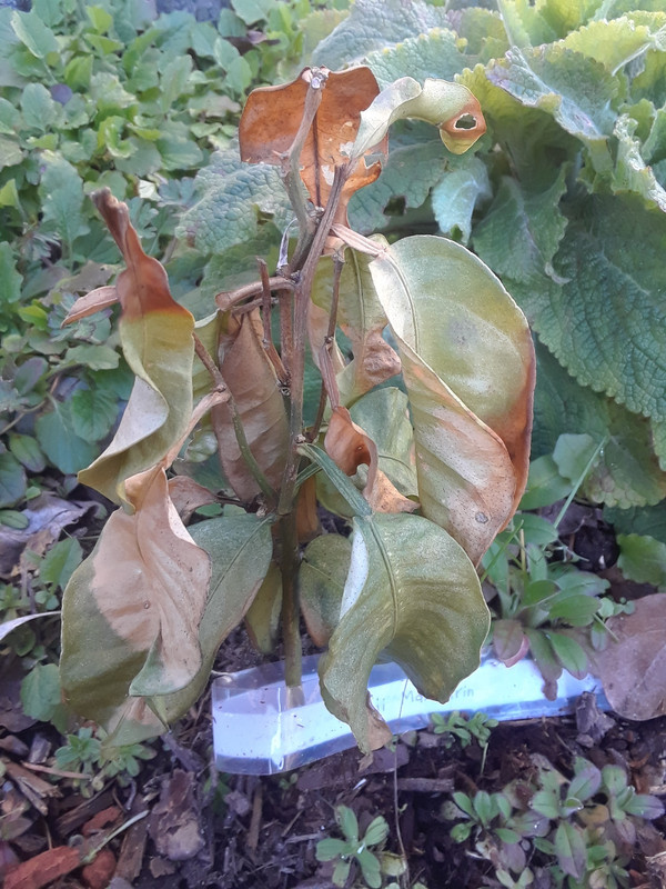 20190318_092628