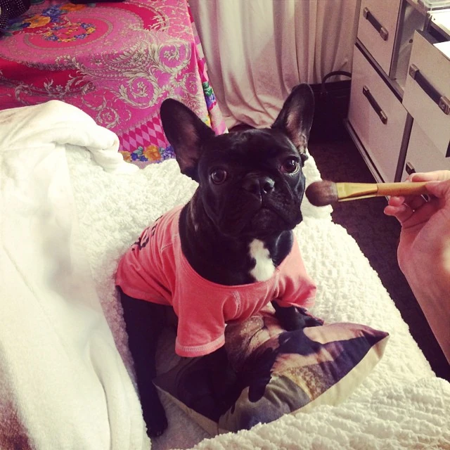 11-23-14-Instagram-001.webp