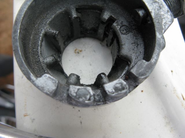 IMG_3039 (640x480) (2)